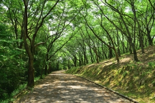 思い出の地を巡っていただきました。