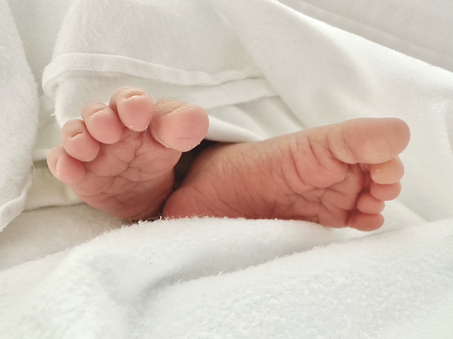 SKKブログを再開します