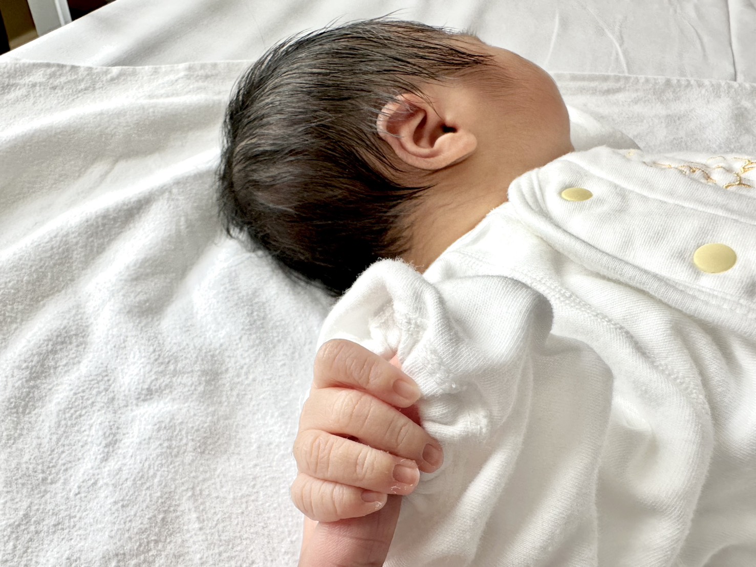 SKKブログを再開します